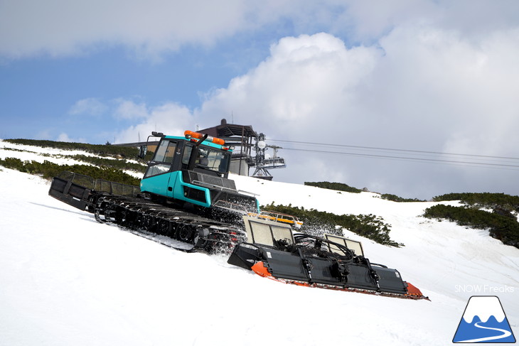 大雪山旭岳ロープウェイスキー場　カムイミンタラ『神々の遊ぶ庭』で春を楽しむ！